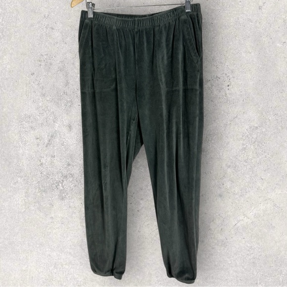 aerie Pants - Aerie Velvet Velour Joggers Womens Size Medium Sweat Pants Elastic Waist Lounge